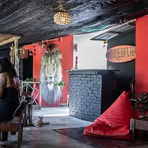 House Of Lion , Pantai Cenang (Langkawi) Malasia